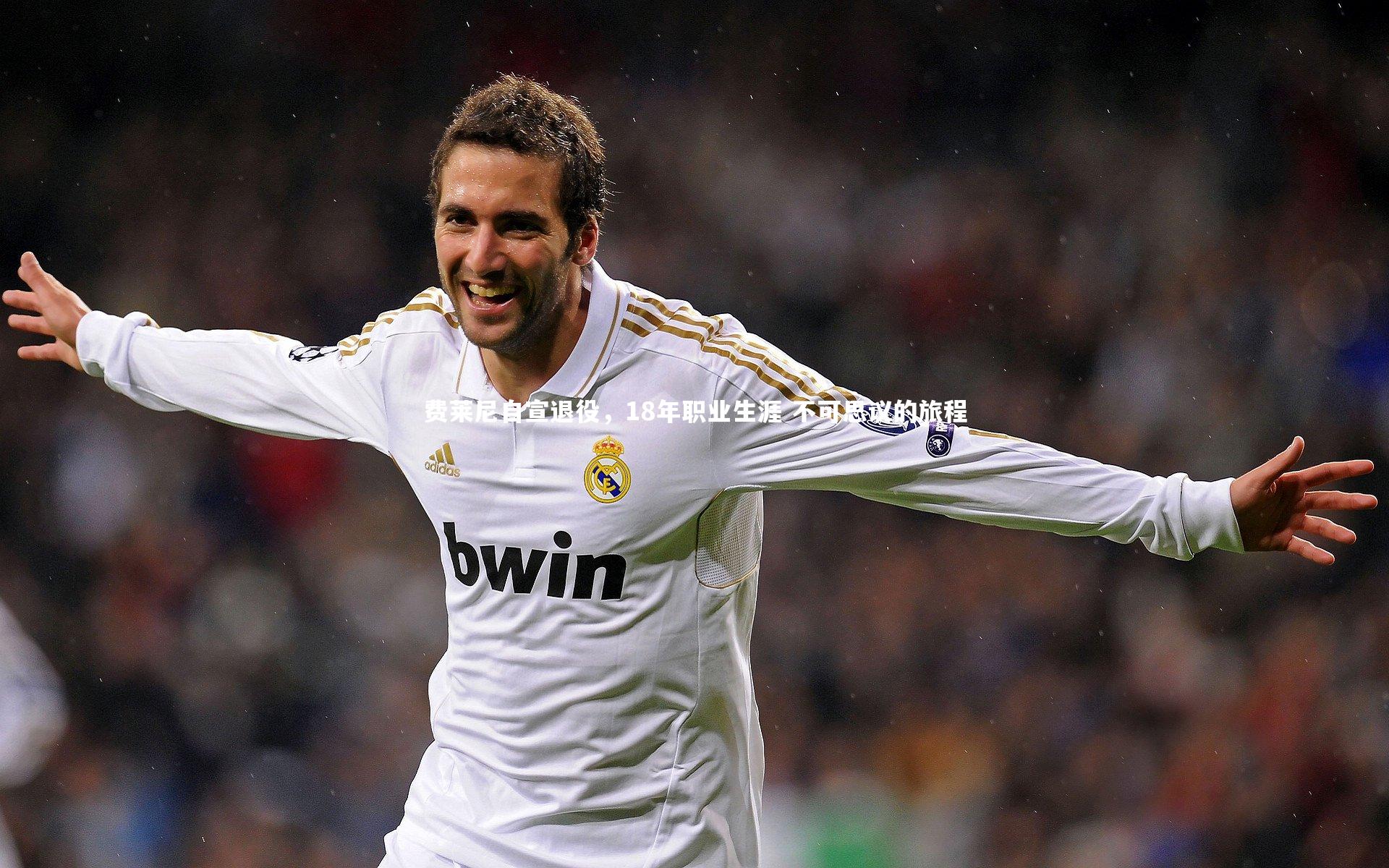 费莱尼自宣退役，18年职业生涯 不可思议的旅程